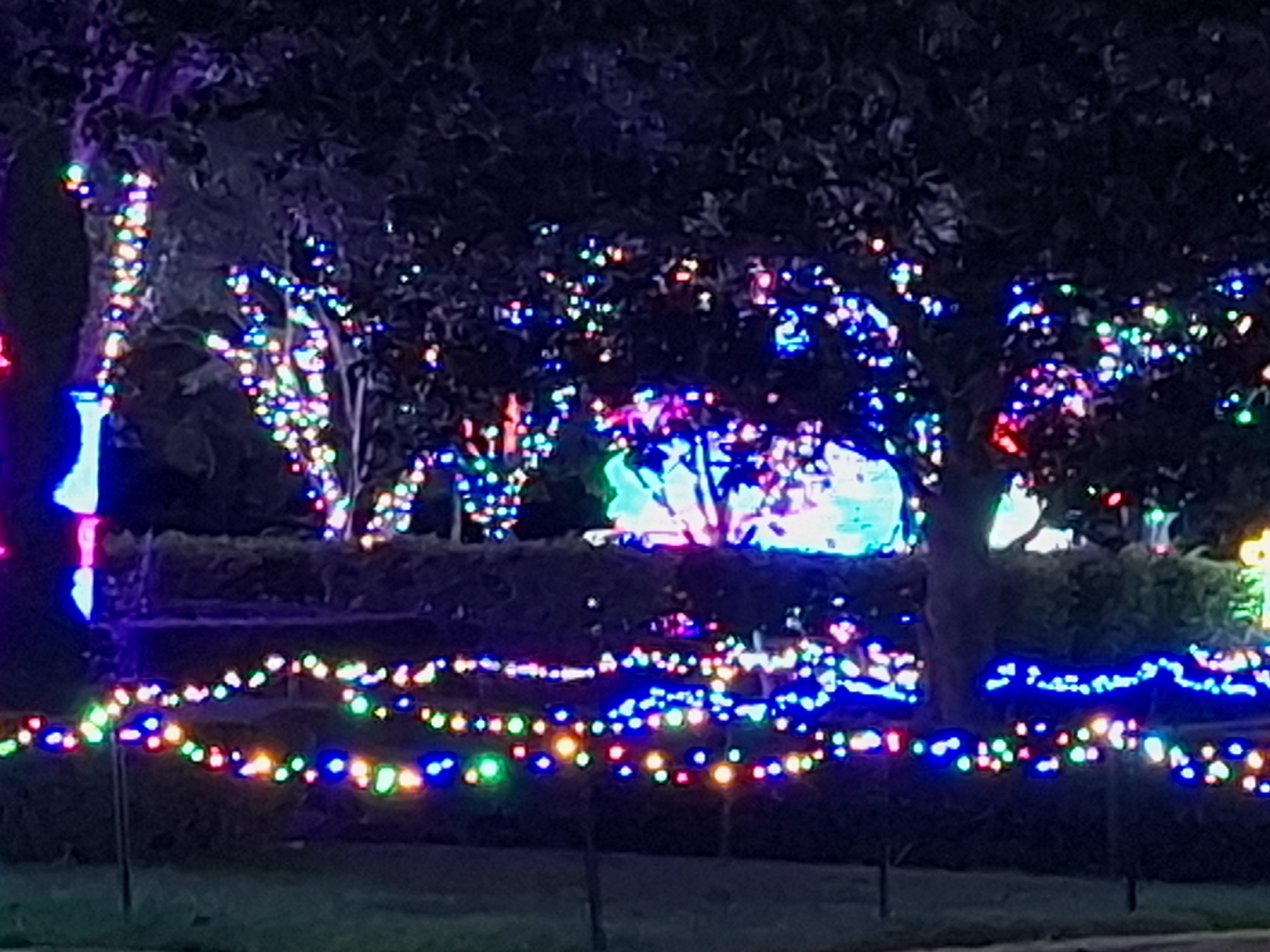 Hunter Valley Gardens Entrance